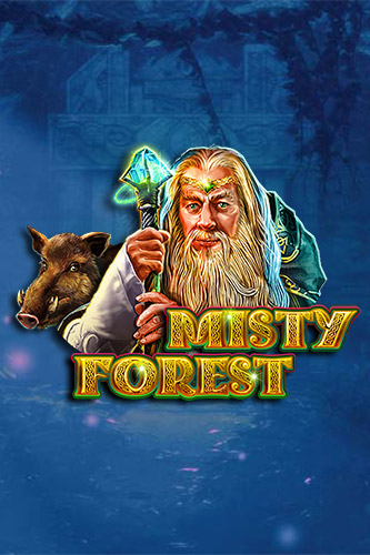 Misty Forest